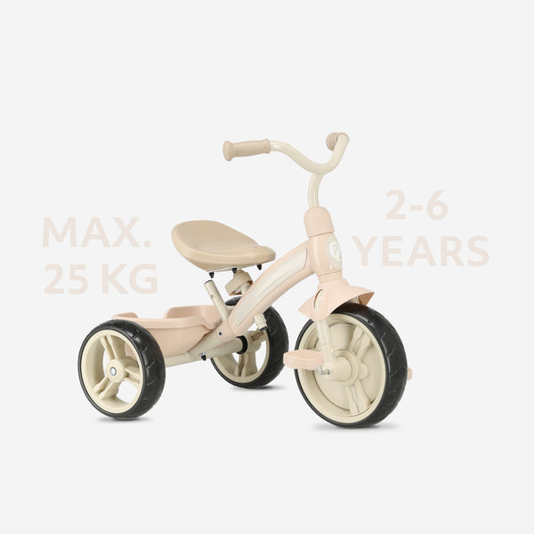 Tricycle QPlay Elite Plus