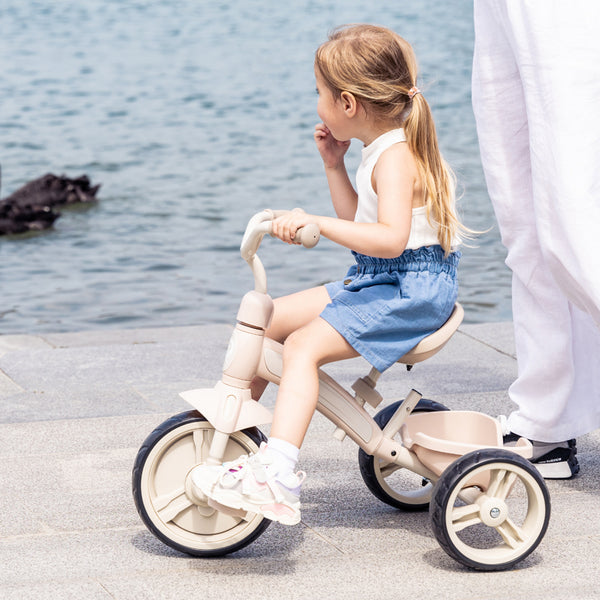 Tricycle QPlay Elite Plus