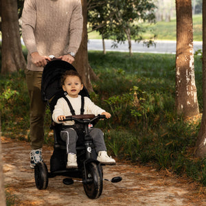 Comfo Max Tricycle