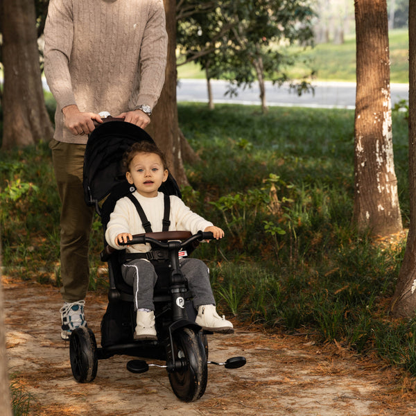 Comfo Max Tricycle
